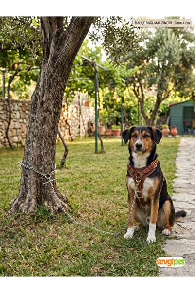 sevgipet SVGPT Dayanıklı Köpek ve Bahçe Bağlama Zinciri 2 MT (5 mm / 200 cm)