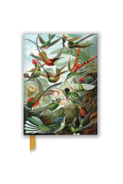 Flame Tree Caiet A5 Kolibry Ernst Haeckel, liniat, coperta ilustrata, Multico...