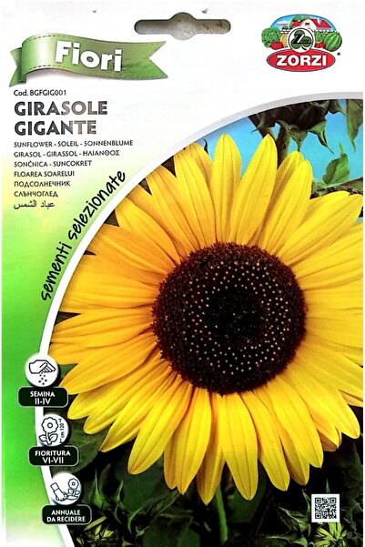 GENERAL Sunflower Seeds