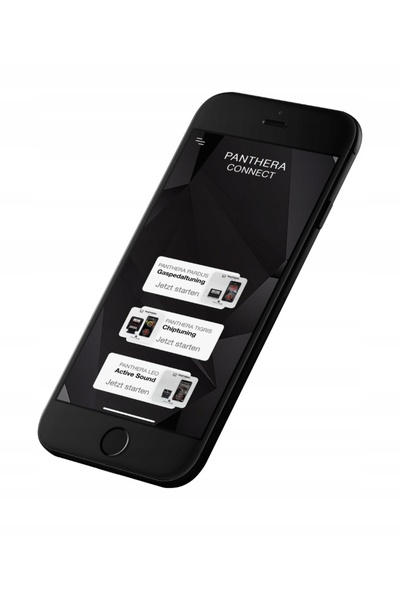 NO BRAND Sistem de evacuare activă PANTHERA LEO 7.0 (V6, V8, V12) Booster OBD...