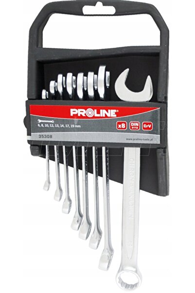 Proline Set de chei plate cu cap de inel, 12 piese. 6-22MM
