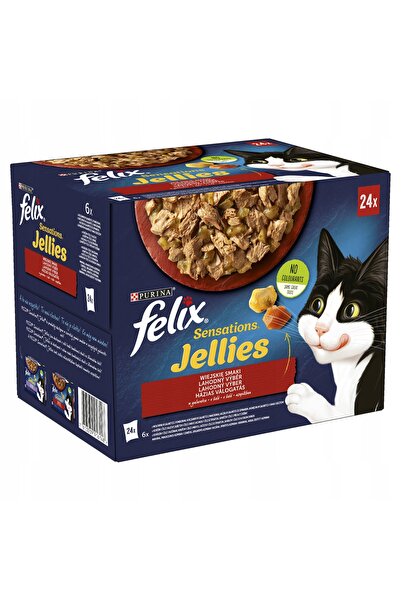 NO BRAND Hrana pentru pisici FELIX Gusturi de sat (24 x 85 g)