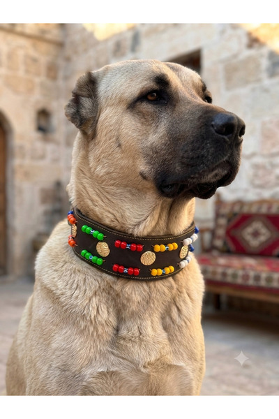 YILPAX Hakiki Deri Otantik Boncuk İşlemeli ve Metal Plakalı Büyük Irk Köpek Tasması 80x8 cm