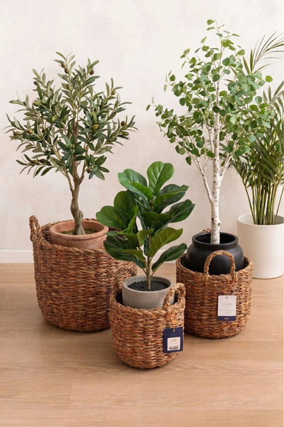 DS Home&Design Wicker Flower Pot and Organizer Basket Set with Handles - Set ...