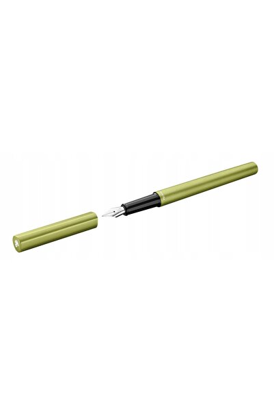 Pelikan Kitapevi Stilou Ineo Green Oasis în cutie Pelikan