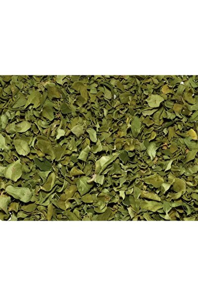 Kaffa Ceai plante Moringa