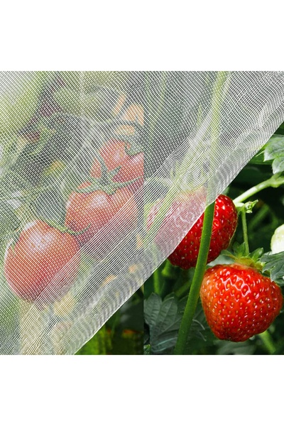 NO BRAND Plasă de protecție anti-insecte pentru fructe și legume, transparent...