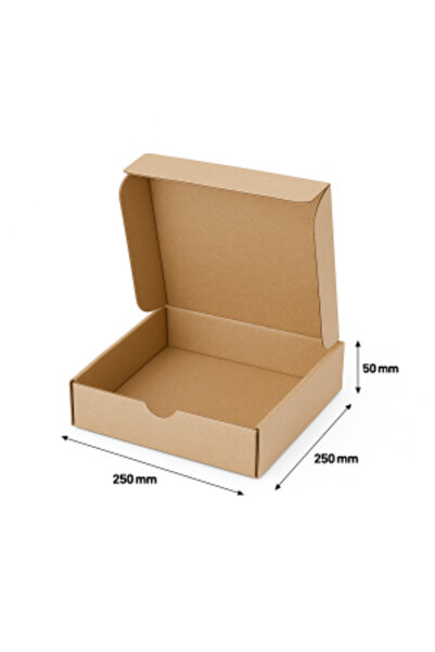 25x25x5 Kilitli E-Ticaret Kutusu | 50li Paket |