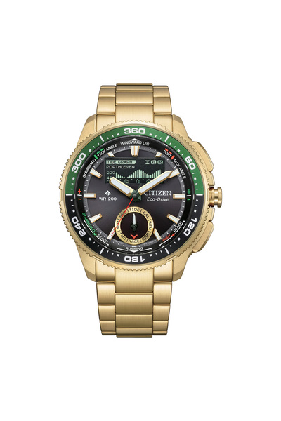 Citizen JV3002-51E ERKEK KOL SAATİ