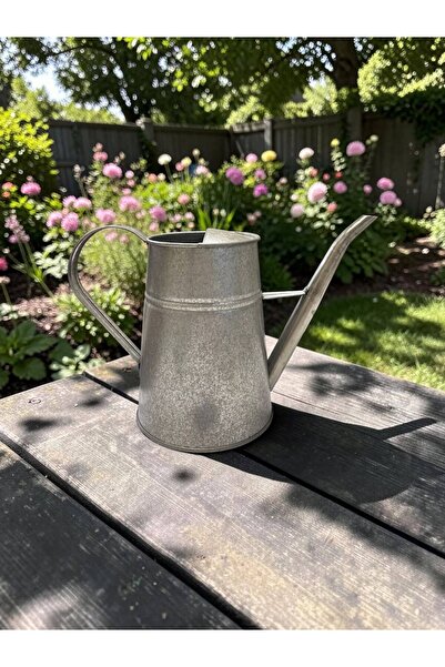 NATURELMETAL Galvanized Metal Plant Watering Container 3.1 Lt Antique Textured