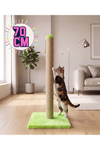 almital mobilya aksesuarları furniture accessories لوح خدش للقطط باللون الأخض...
