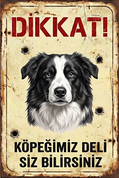 Iron Paws Dikkat Köpek Var - Avustralya Çoban Köpeği (Aussie) Uyarı Levhası -...