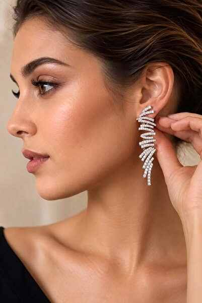 Valmont Accessories Zircon Stone Women's Earrings Silver Color Stylish Evenin...