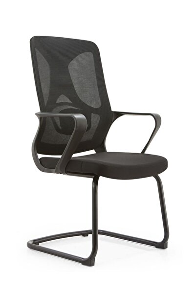 Fatio Ergonomic Office Chair with Adjustable Lumbar Support, Breathable Mesh ...