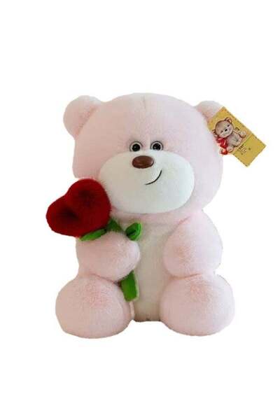 Home Smart Teddy Bear Holding Red Heart Rose 28cm, Ideal Gift for Valentine A...