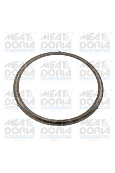 MEATDORIA Garnitura, Ventil Agr 016207 Fiat 500L/500X Jeep Renegade