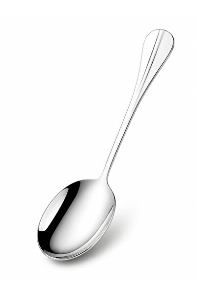 Special Action Set of 1 Stainless Steel Serving Spoon 21 cm Salad Rice Pasta ...