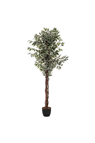 RADIONAT , Artificial plant Atmosphera Ficus with pot, 97x86x185 cm, green in...