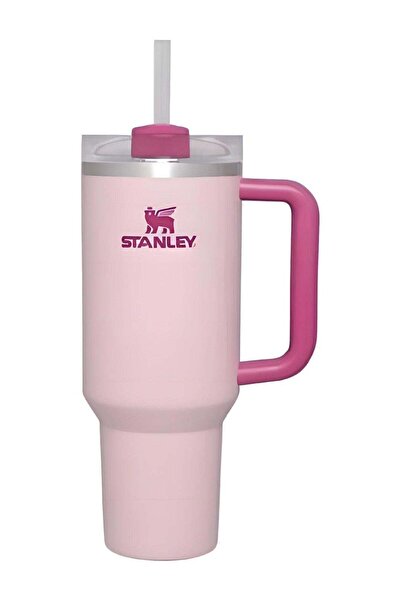 Generic FlowState Stainless Steel Vacuum Insulated Tumbler with Lid and Straw...