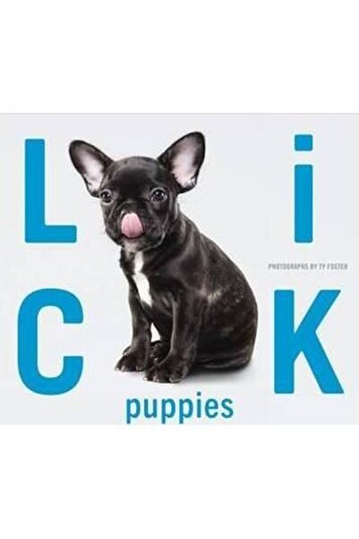 Knock Knock Cartea Lick Puppies