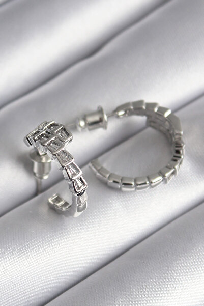 DMR Elegance Brass Silver Color Zircon Stone Snake Model Women's Earrings