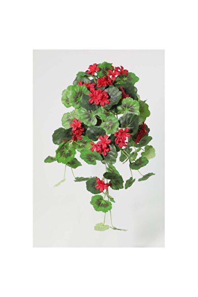 Generic New In Fernza Hanging Begonia Potted Plant Red H55Cm