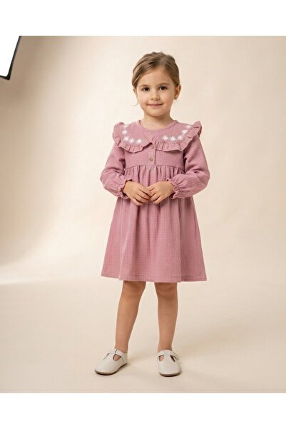 voyyo kids baby Girl's Collared Embroidered Seasonal Long Sleeve Dress for Ag...