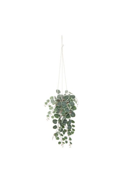 Atmosphera Plantă artificială suspendată "Lourmarin" - H.80 cm