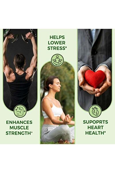 Pure Nutrition Organic Ashwagandha Tablets | 120 Veg Tablets | Supports Stress Relief, Sleep, Fertility, Immune Health, Vitality & Strength | Natural Adaptogen for Men & Women | Promotes Energy & Over