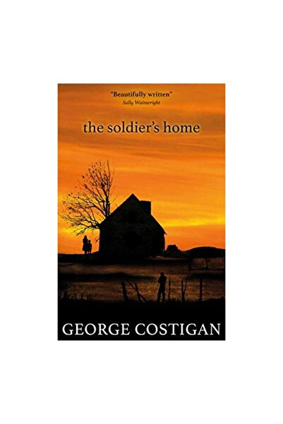 Generic (Unbranded) The Soldier's Home