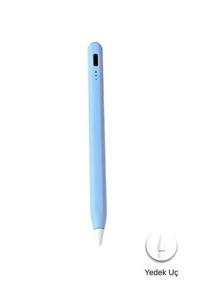 Fuchsia iPad 11 Generation Compatible Active Touch Tablet Pen with Palm Rejec...