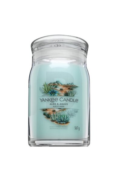 Yankee Candle Aloe & Agave 567 g