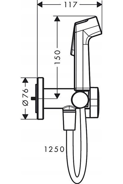 Hansgrohe BIDETTE Robinet de bideu pentru baie, montaj sub blat, grafit 29232340