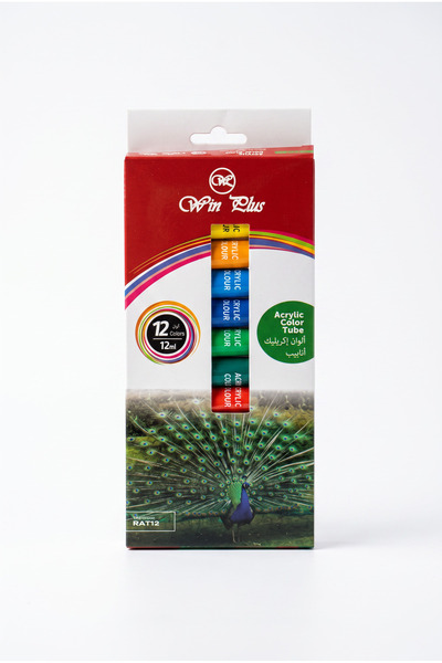 winplus Win Plus Acrylic Tube Paint Set 12ml 12 Shades
