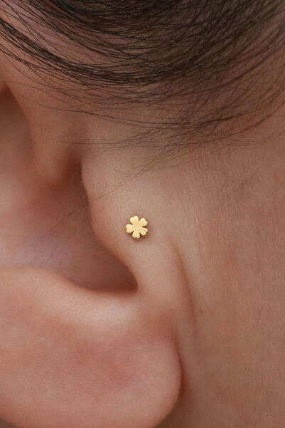 Bayar Gold 14 Ayar Altın Yonca Tragus Piercing