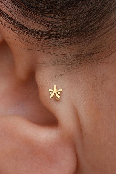 Bayar Gold 14 Ayar Altın Astra Tragus