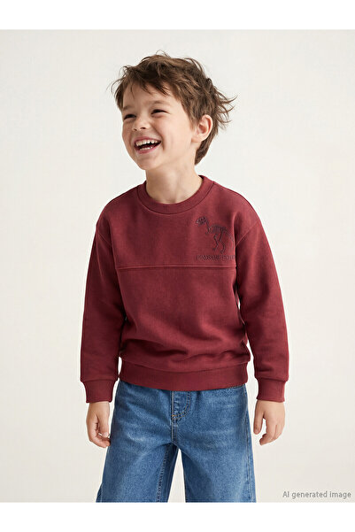 LC Waikiki Özmarka New Season Crew Neck Printed Boys' Thick Sweatshirt
