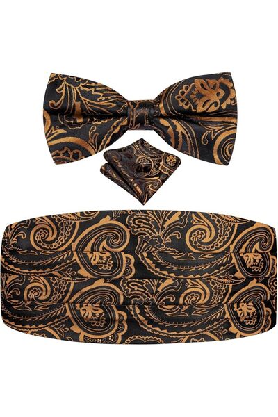 Dubulle Mens Paisely Silk Tie for Men Necktie and Pocket Square Set