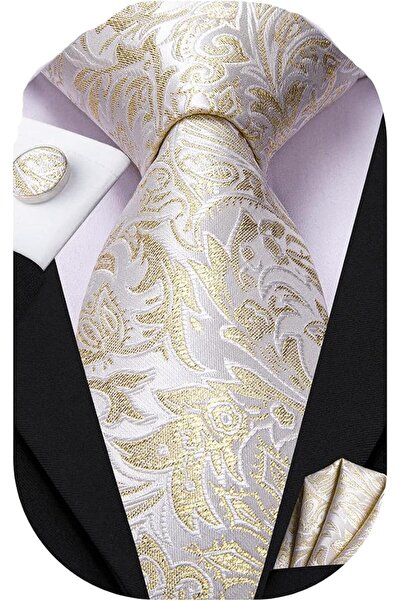 Dubulle Mens Paisely Silk Tie for Men Necktie and Pocket Square Set