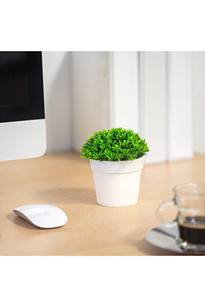 Alista Home Plantă artificială decorativă în ghiveci de 13 cm, decor pentru c...