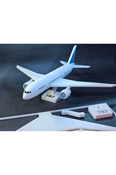 Boeing 787 Dreamliner 3D Baskı Model Uçak Dekoratif Maket Standlı