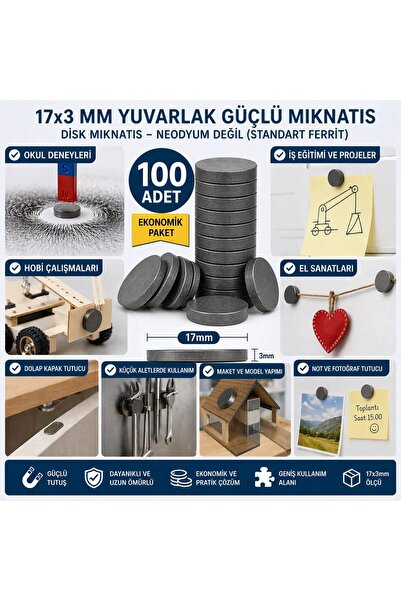 pınaxar 100 Pcs Magnet 17X3 mm Round Strong Magnet Disc Magnet