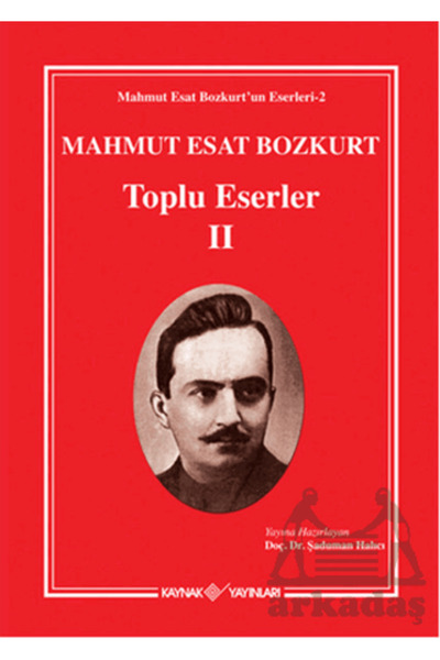 Kaynak Yayınları Mahmut Esat Bozkurt Toplu Eserler 2