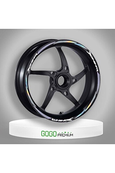 Gogo Jant Şeridi Hologram Bajaj Domınar 250 400