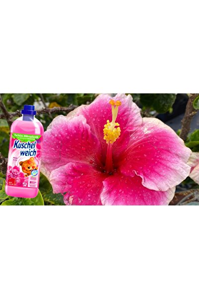 NO BRAND KUSCHELWEICH DETERGENT DE Rufe GERMAN 4L - PINK KISS - 152 SPĂLĂRI