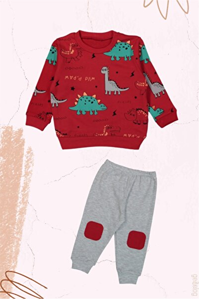 Dinosaur Friends Printed Baby Pants & Tops Set