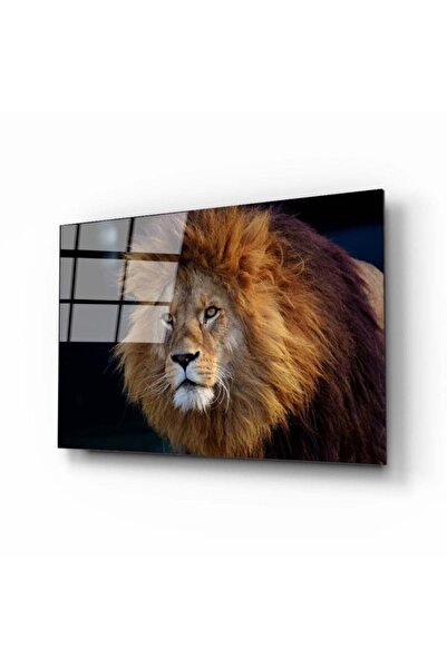 Aslan 8 Cam Tablo