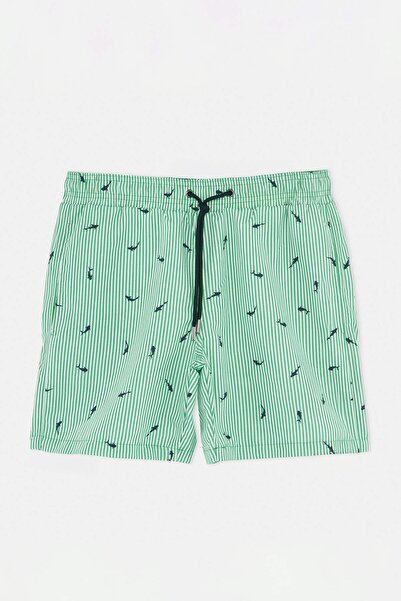 Trendyol Kollektion Grüne Herren-Badeshorts TMNSS26DS00003