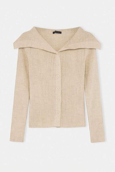 Trendyol Collection Stone Crop Turn-Down Collar Knitwear Cardigan Twoaw24Hi00284