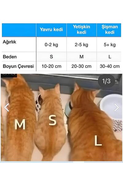 hebmeyy Kişiye Özel Kedi Isim Künyesi Isimlik Ve Papyonlu Kedi Tasması